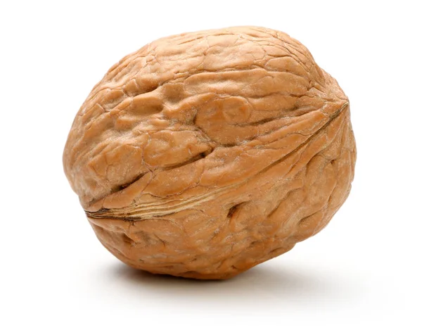 Whole walnut isolated — Stock Photo, Image