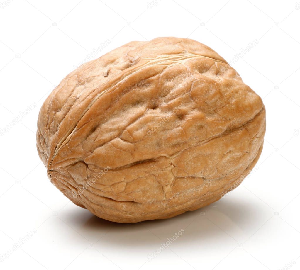 Whole walnut isolated