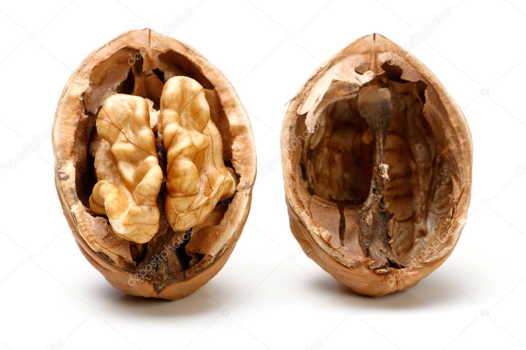 Half a piece of walnut.