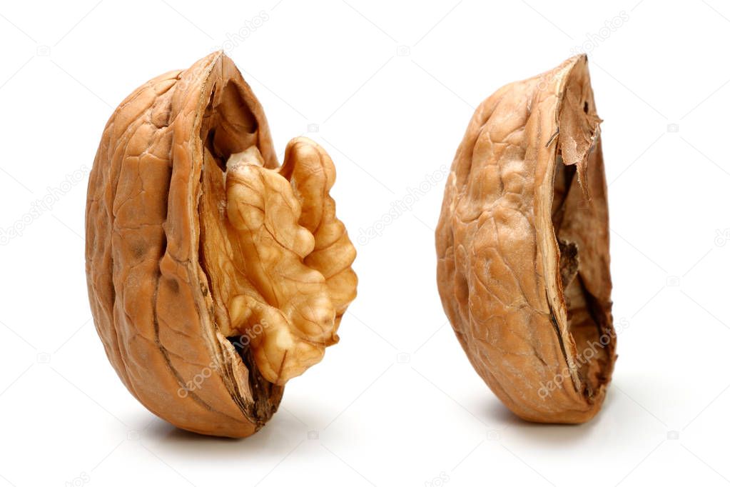 Walnut kernel isolated