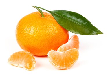 yaprakları taze mandalina