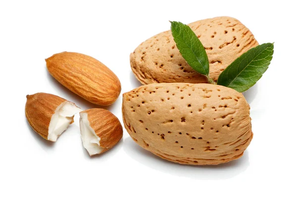 Badem fındık izole