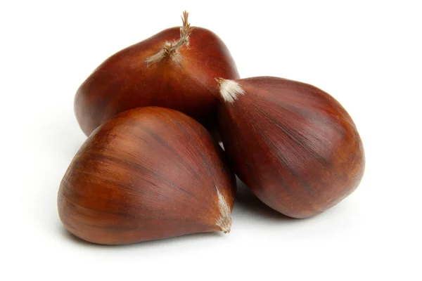 Chestnut on white — Stock Photo, Image