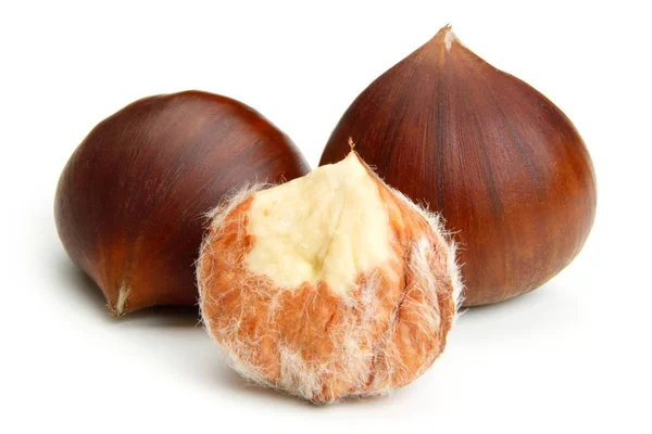 Chestnut on white — Stock Photo, Image