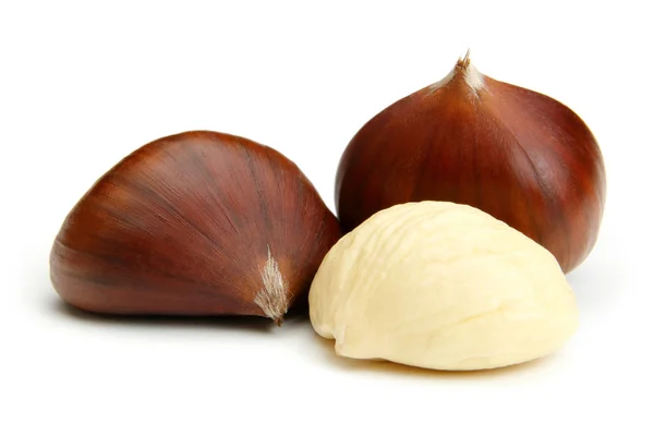 Chestnut on white — Stock Photo, Image