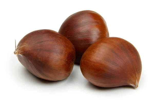 Chestnut on white — Stock Photo, Image