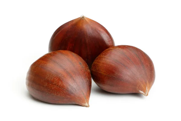 Chestnut on white Stock Photo