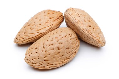 Badem fındık izole