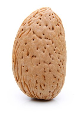 Badem fındık izole