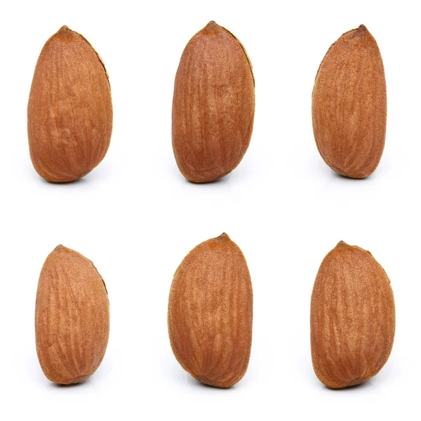 Almond nut isolated — Stock Photo, Image