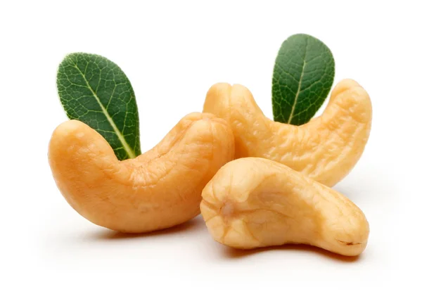 Cashewnuss isoliert — Stockfoto