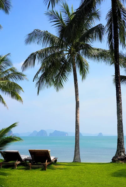 Deck chairs on a tropical beach — Stock Photo, Image