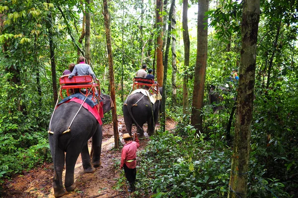 Lovaglás Elefánt Dzsungelben Thaiföld — Stock Fotó