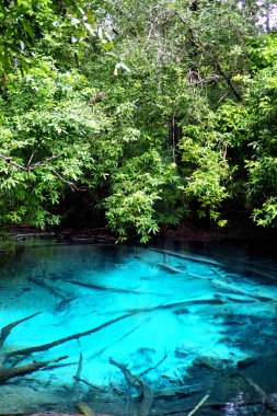 Ünlü mavi havuz, krabi, tayland