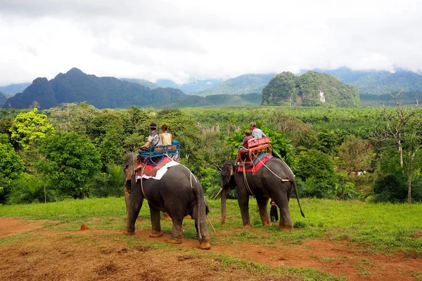Touristen reiten Elefanten in Thailand, Asien — Stockfoto