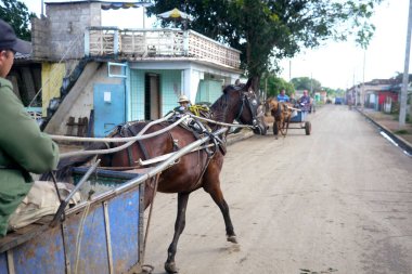 Havana, Küba - 20 Aralık 2016: Küba 'nın pek çok küçük kasabasında eşek arabaları hala nakliye aracı olarak kullanılıyor