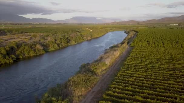 Rivière Aérienne Traversant Les Vignobles — Video