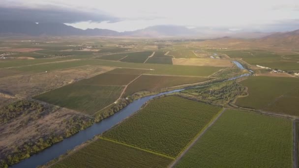 Antenne Eines Großen Flusses Der Durch Eine Landwirtschaftliche Landschaft Fließt — Stockvideo