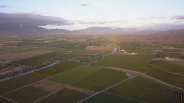 Aérea Gran Río Que Corre Través Paisaje Agrícola — Vídeo de stock