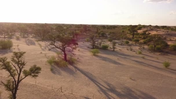 Desert Landscape Aerial Persepctive Dry Arid Landscape — Stock Video