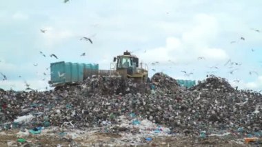 Çöpleri çöp sahasına boşaltan bir kamyon.