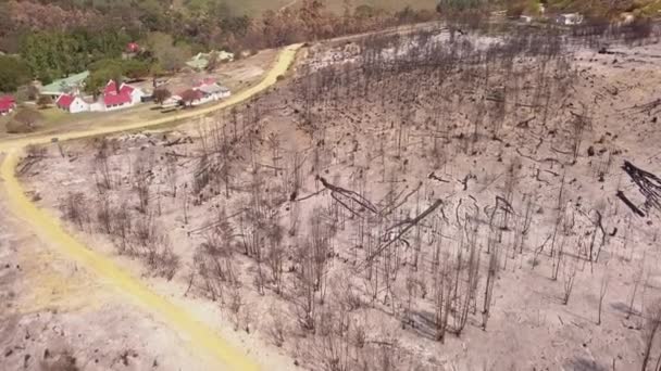 Aerial Burnt Our Sandy Landscape Fire — Stock Video