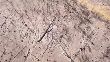 Yangından sonra kumlu arazimizi havadan yaktılar.