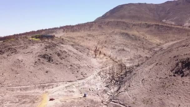 Vue Aérienne Paysage Sablonneux Brûlé Après Incendie — Video