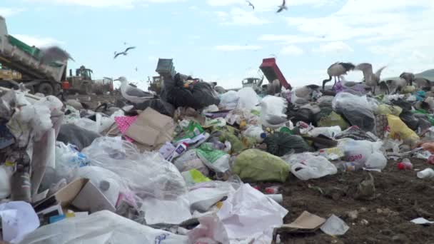埋め立て地でゴミを動かすトラック — ストック動画