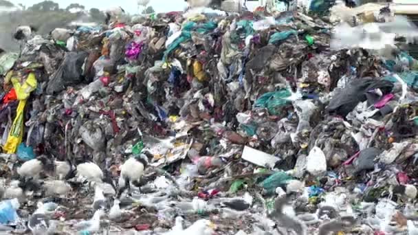 Truk Memindahkan Sampah Tempat Pembuangan Sampah — Stok Video