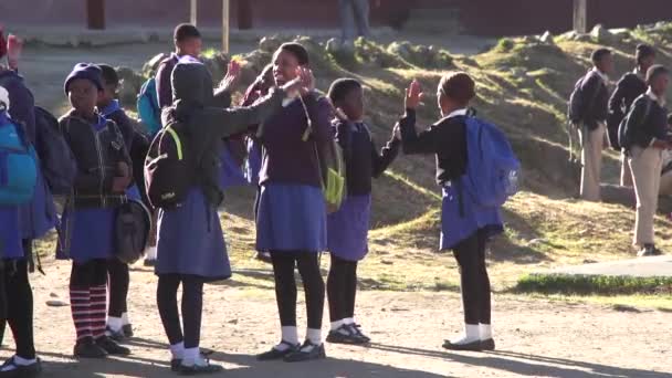 School Children African School Dancing Shool — Stock Video
