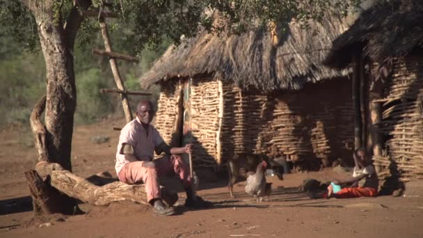 Малі Хатинки Африканського Села Куховарством — стокове відео