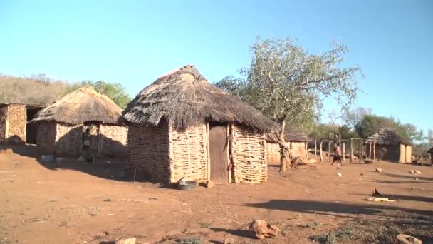 Traditionelles Afrikanisches Gehöft Mit Lehm Und Grashütten — Stockvideo