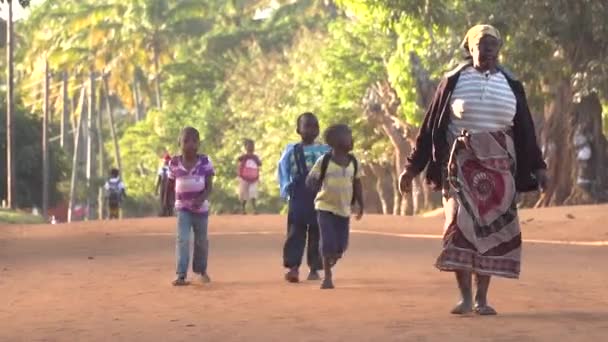 Küçük Bir Afrika Köyündeki Tipik Sokak Manzarası Nsanlar Toprak Yolda — Stok video