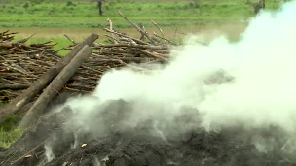 Verbranden Verpakken Van Houtskool West Afrika — Stockvideo