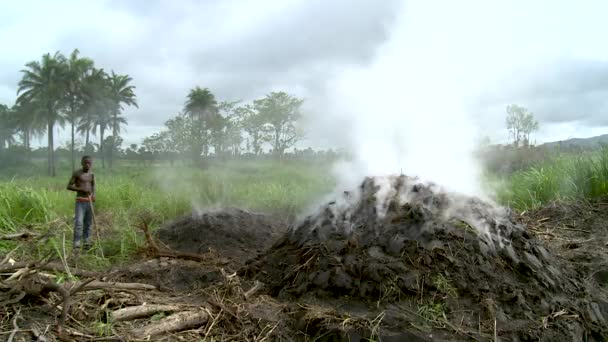 Charcoal Burning Packing West Africa — Stock video