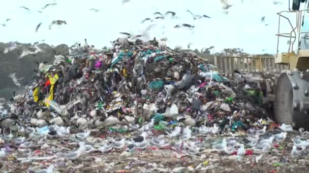 Отходы Полигоне Пластиком — стоковое видео
