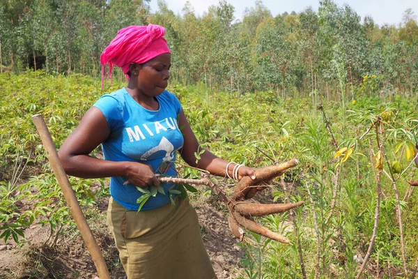July 2019 Kisumu Rwanda Rural Woman Farmer Her Fields Rwanda — Stock Photo, Image