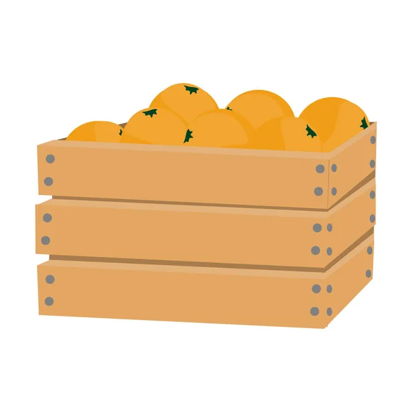Fresh oranges in a wooden box — Stock Vector