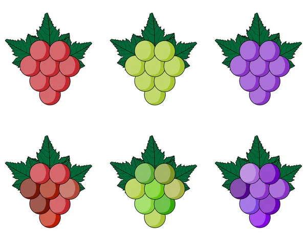 Set di uve colorate — Vettoriale Stock