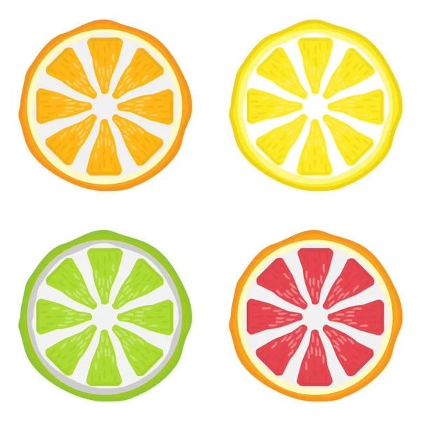 Plátek Citrusové sady — Stockový vektor