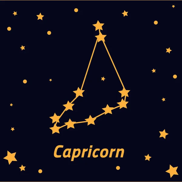 Constelación de Capricornio en el cielo estrellado — Vector de stock