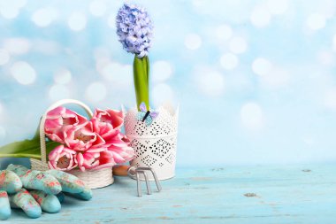 Ahşap arka plan üzerinde bitki araçlarıyla Bahçe