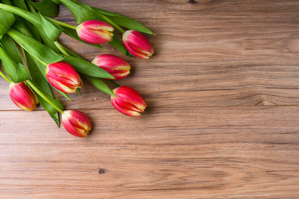 Tulips on wooden background with space for text