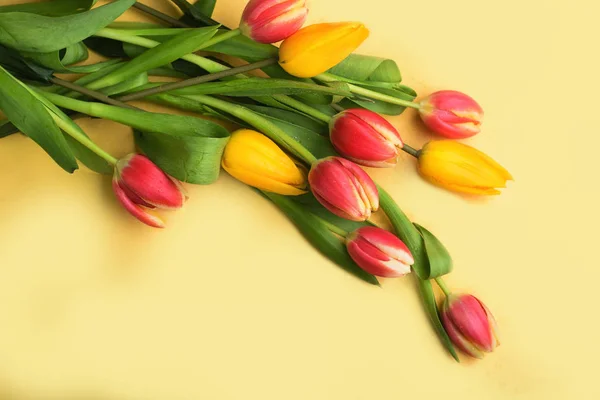 Schöner Strauß Tulpen — Stockfoto