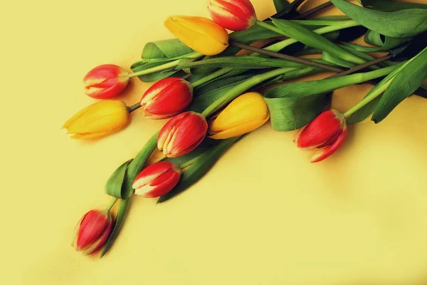 Beautil boeket van tulpen — Stockfoto