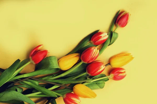 Beautil boeket van tulpen — Stockfoto