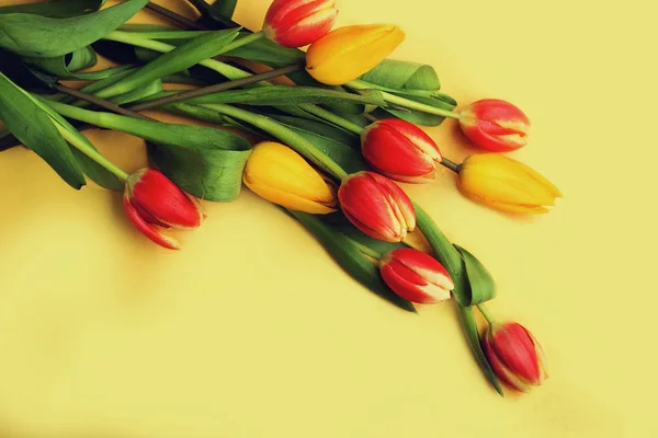 Beautil boeket van tulpen — Stockfoto