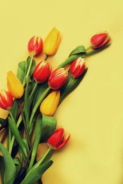 Beautil boeket van tulpen — Stockfoto