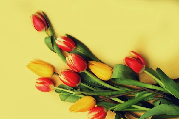 Beautil boeket van tulpen — Stockfoto